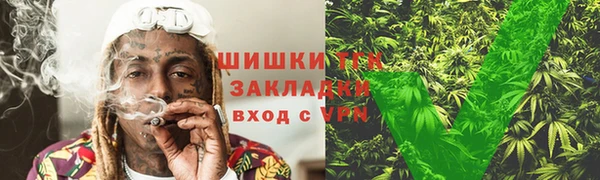 mix Богородицк